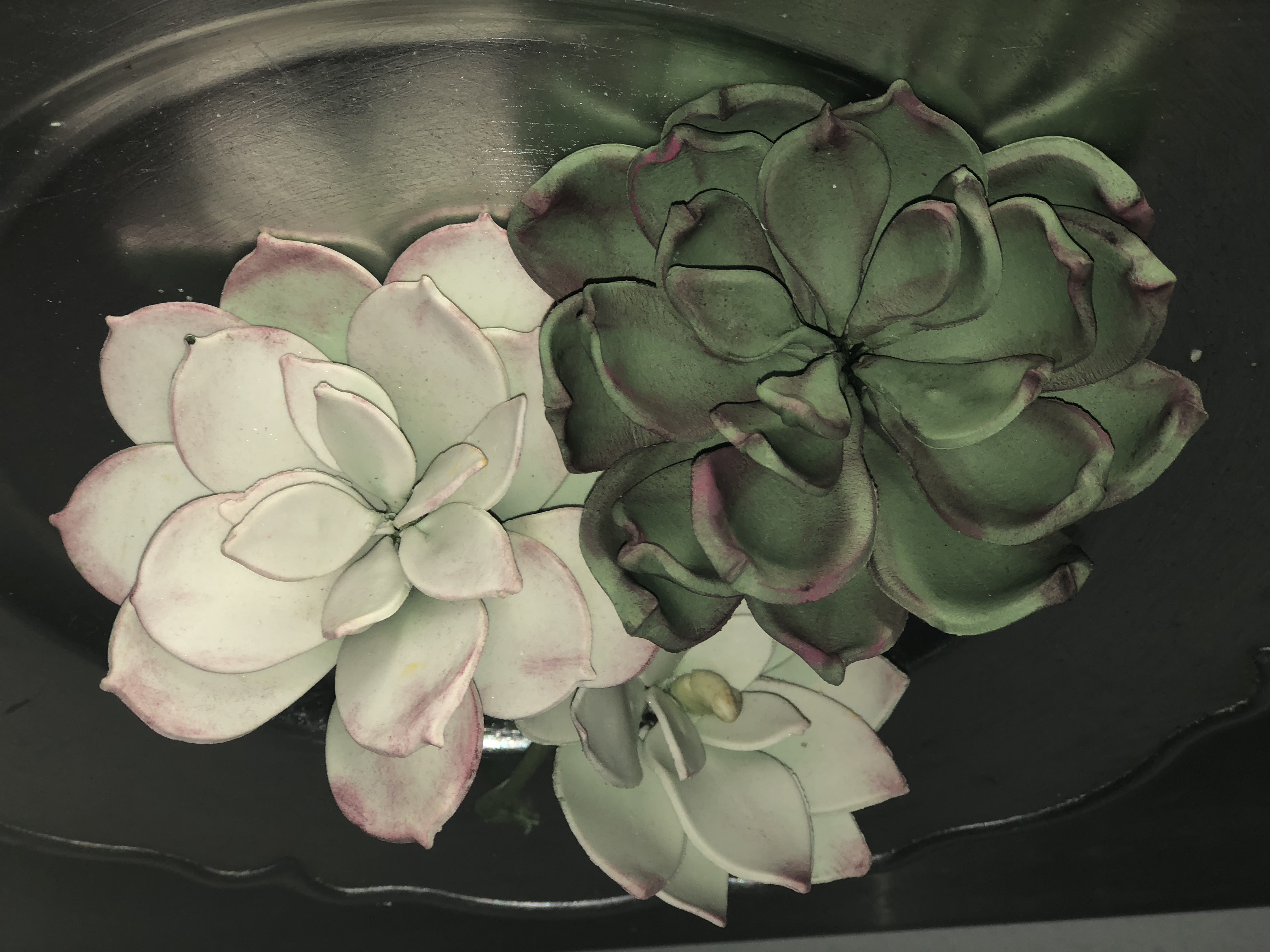 Bougainvilliers, succulentes, callas