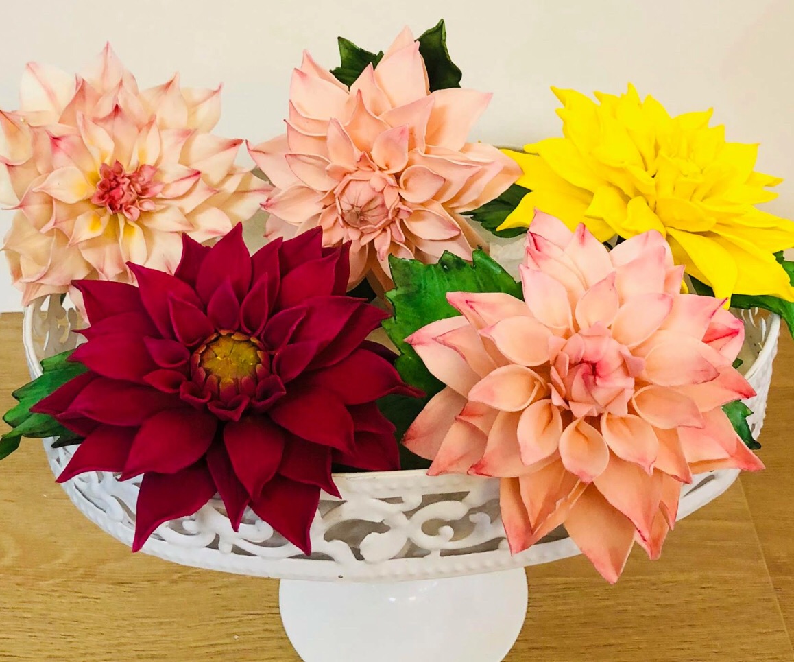 Dahlia, rose Austin, orchidées